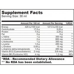 BIOTECH USA BCAA 1000 ml