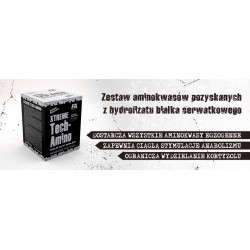 FITNESS AUTHORITY Tech-Amino 325 tabletek