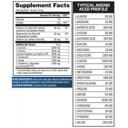 GASPARI  Aminolast 70 gram
