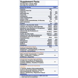 GASPARI  SizeOn Maximum Performance 1584 gram