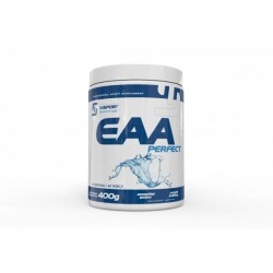 INSPORT EAA PERFECT 400g