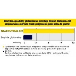 MHP Glutamine-SR 1000 gram