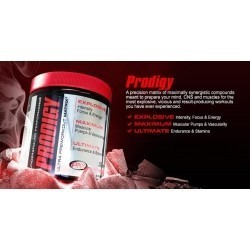 PNI Prodigy 1 porcja