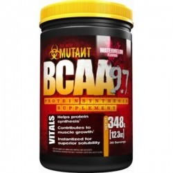 PVL Mutant BCAA 348 gram