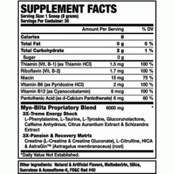 RONNIE COLEMAN Myo-Blitz 240 gram