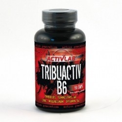ACTIVLAB Tribuactiv B6 90 kapsułek